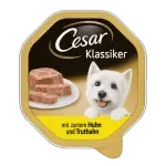 Cesar  Empfehlung des Chefkochs mit Huhn, Gemüse und Reis