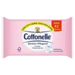 Cottonelle Feucht  Kids